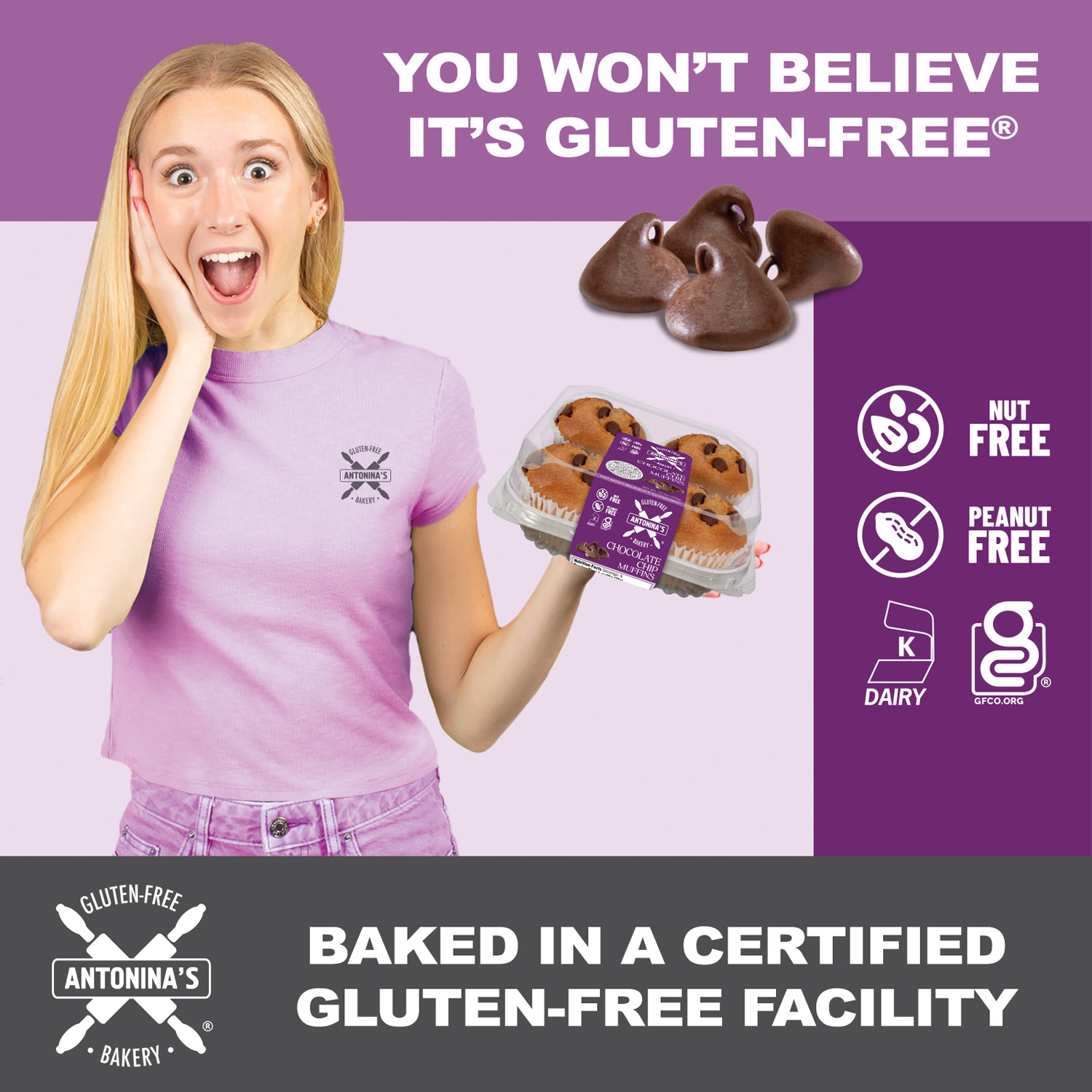 Gluten-Free 32 Chocolate Chip Muffins