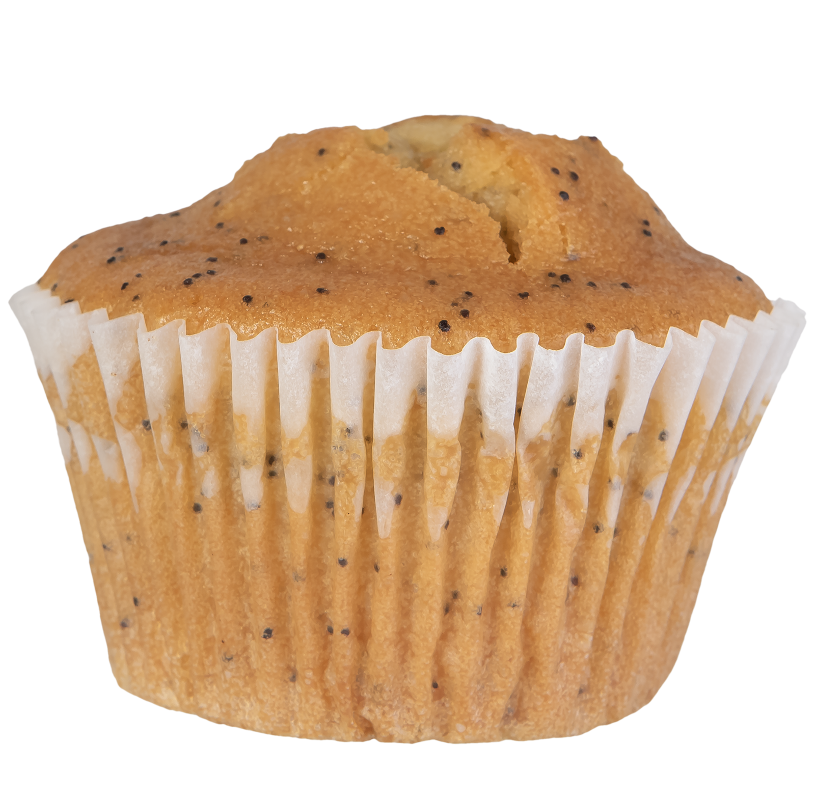 Gluten-Free 32 Lemon Poppy Seed Muffins