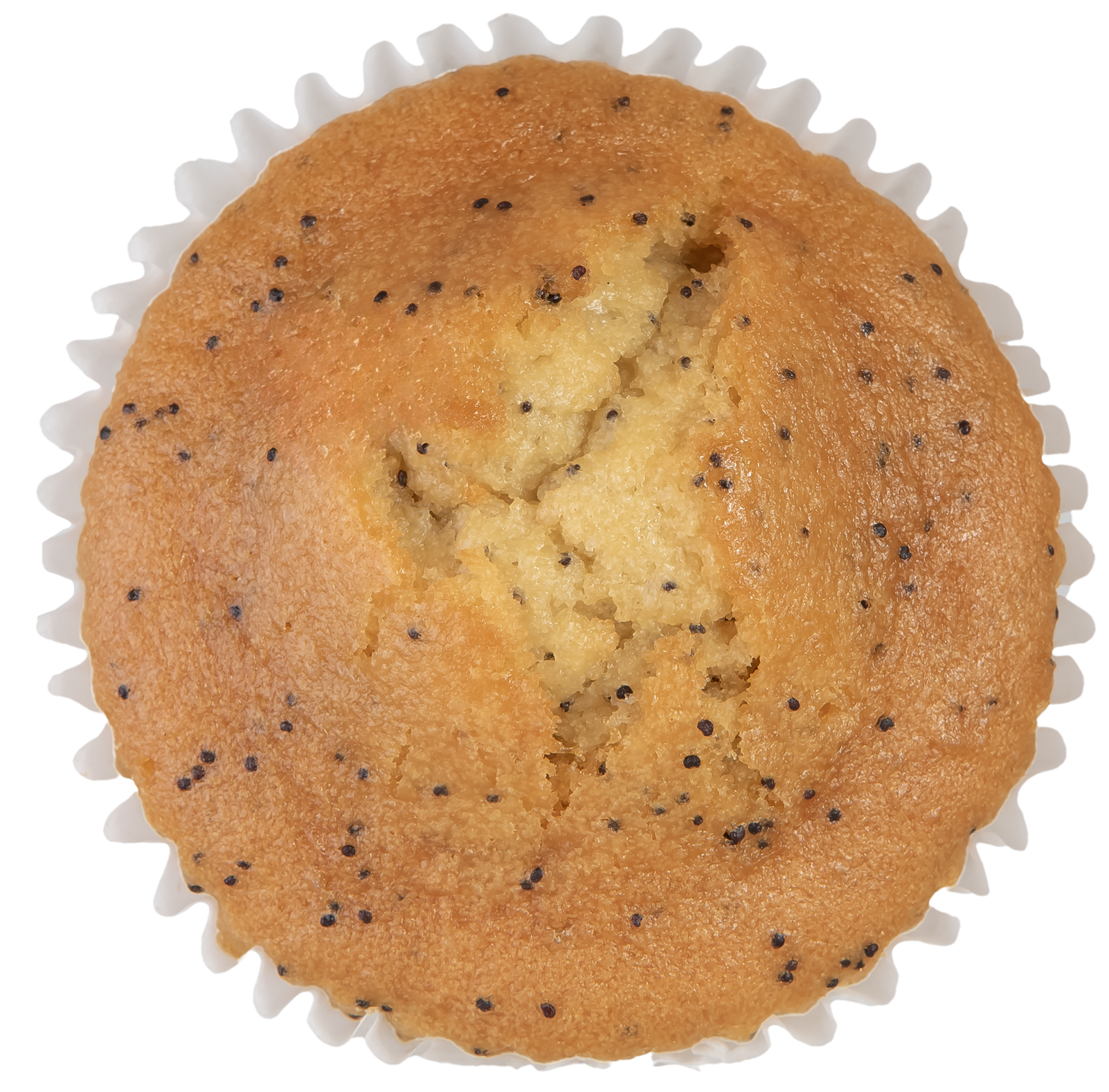 Gluten-Free 32 Lemon Poppy Seed Muffins